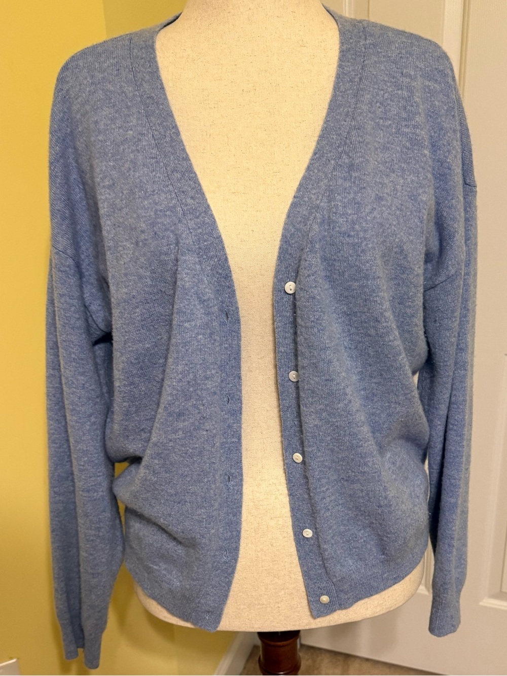Light Blue Women's Button-Front V-Neck Cardigan Sweater